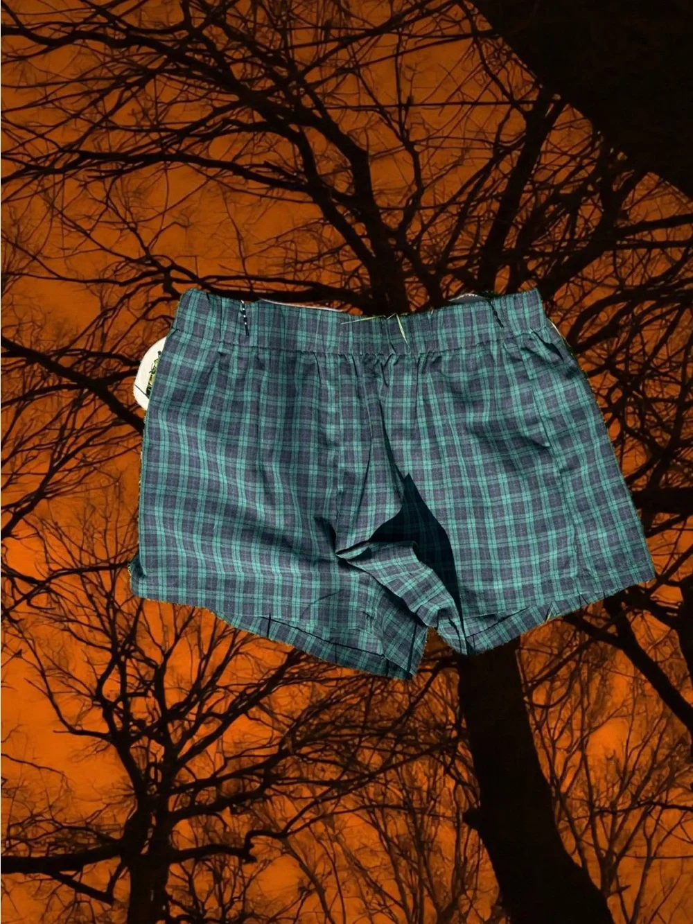 Woman  Plaid Cotton Shorts - Blue Green